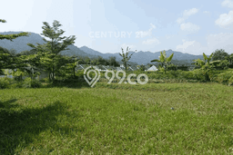 Untuk Dijual Tanah di Banjaran Bandung Luas 1456m2 SHM Untuk Dijual Tanah di Banjaran Bandung Luas 1456m2 SHM