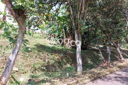 Untuk Dijual Tanah di Cimenyan Bandung Luas 712m2 SHM Untuk Dijual Tanah di Cimenyan Bandung Luas 712m2 SHM