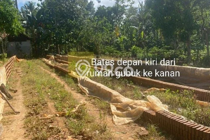 Dijual Tanah di Katibung Lampung Selatan Luas 15000m2 SHM Dijual Tanah di Katibung Lampung Selatan Luas 15000m2 SHM