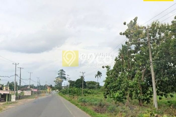 Tanah Kavling untuk Dijual di Terbanggi Besar Lampung Tengah 20000m2 Tanah Kavling untuk Dijual di Terbanggi Besar Lampung Tengah 20000m2