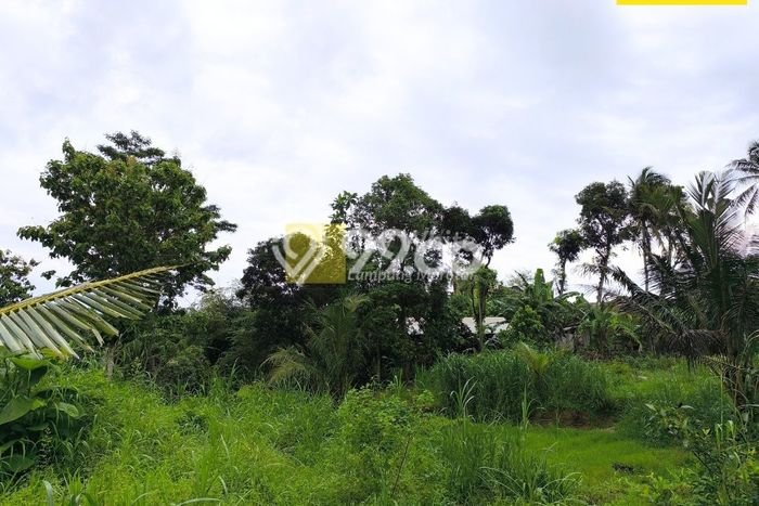 Tanah Kavling untuk Dijual di Natar Lampung Selatan 2411m2 Tanah Kavling untuk Dijual di Natar Lampung Selatan 2411m2