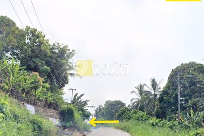 Lahan Kosong Dijual di Pesawaran dengan Area 7745m2 Lahan Kosong Dijual di Pesawaran dengan Area 7745m2