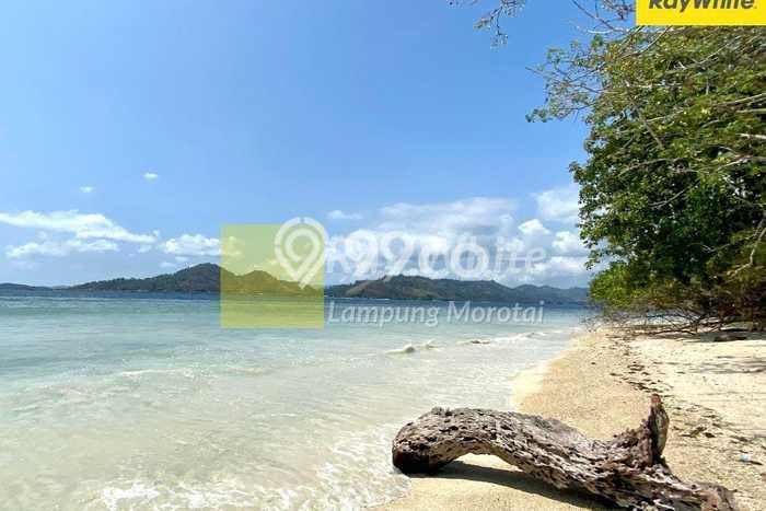 Tanah Kosong Dijual di Pesawaran dengan Area 79360m2 Tanah Kosong Dijual di Pesawaran dengan Area 79360m2