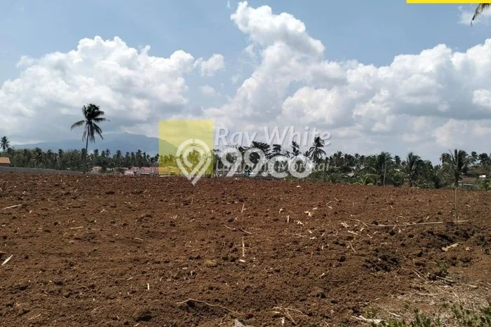 Tanah Kavling untuk Dijual di Natar Lampung Selatan 8620m2 Tanah Kavling untuk Dijual di Natar Lampung Selatan 8620m2