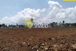 Tanah Kavling untuk Dijual di Natar Lampung Selatan 8620m2 Tanah Kavling untuk Dijual di Natar Lampung Selatan 8620m2