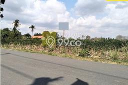 Tanah di Natar, Lampung Selatan Luas 12060m2 Dijual Segera Tanah di Natar, Lampung Selatan Luas 12060m2 Dijual Segera