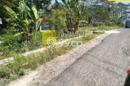 Tanah Dijual Lokasi Tanjung Bintang Lampung Selatan - Tanah Dijual Lokasi Tanjung Bintang Lampung Selatan -