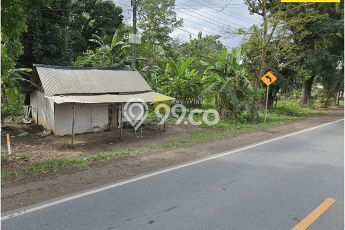 Kavling Tanah di Tulang Bawang Tengah Dijual Luas 30000m2 Legalitas SHM Kavling Tanah di Tulang Bawang Tengah Dijual Luas 30000m2 Legalitas SHM