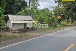 Kavling Tanah di Tulang Bawang Tengah Dijual Luas 30000m2 Legalitas SHM Kavling Tanah di Tulang Bawang Tengah Dijual Luas 30000m2 Legalitas SHM
