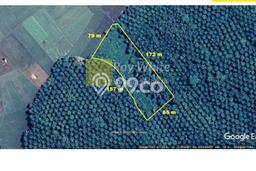 Tanah Kosong Dijual di Lampung Tengah dengan Area 9990m2 Tanah Kosong Dijual di Lampung Tengah dengan Area 9990m2