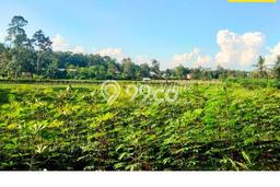 Dijual Tanah Lokasi Gedong Tataan, Pesawaran Seluas 1496m2 Dijual Tanah Lokasi Gedong Tataan, Pesawaran Seluas 1496m2