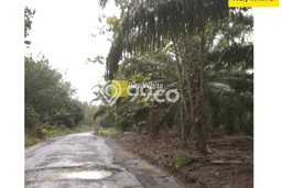 Tanah Kosong Dijual di Way Kanan dengan Area 1e+06m2 Tanah Kosong Dijual di Way Kanan dengan Area 1e+06m2