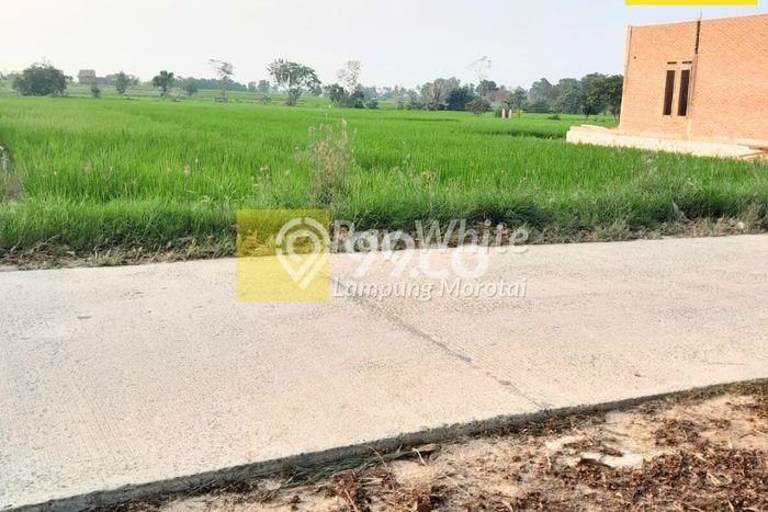 Tanah Kavling di Jati Agung Dijual dengan Luas 2388m2 Tanah Kavling di Jati Agung Dijual dengan Luas 2388m2