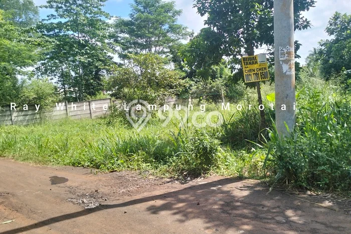 Tanah Kavling di Rajabasa Dijual dengan Luas 1154m2 Tanah Kavling di Rajabasa Dijual dengan Luas 1154m2