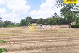 Lahan Kosong Dijual di Lampung Selatan dengan Area 20470m2 Lahan Kosong Dijual di Lampung Selatan dengan Area 20470m2