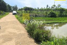 Kavling Tanah Dijual di Natar, Lampung Selatan, Luas 622m2 Area Strategis Kavling Tanah Dijual di Natar, Lampung Selatan, Luas 622m2 Area Strategis