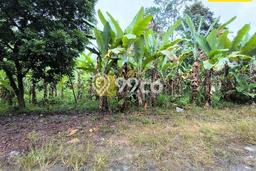 Tanah Kavling untuk Dijual di Natar Lampung Selatan 2411m2 Tanah Kavling untuk Dijual di Natar Lampung Selatan 2411m2