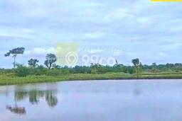 Kavling Tanah di Labuhan Maringgai Dijual Luas 155190m2 Legalitas SHM Kavling Tanah di Labuhan Maringgai Dijual Luas 155190m2 Legalitas SHM