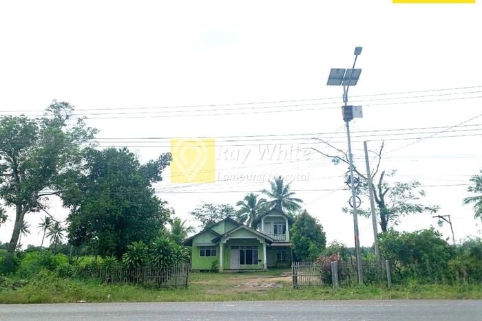 Tanah Kavling untuk Dijual di Terbanggi Besar Lampung Tengah 20000m2 Tanah Kavling untuk Dijual di Terbanggi Besar Lampung Tengah 20000m2