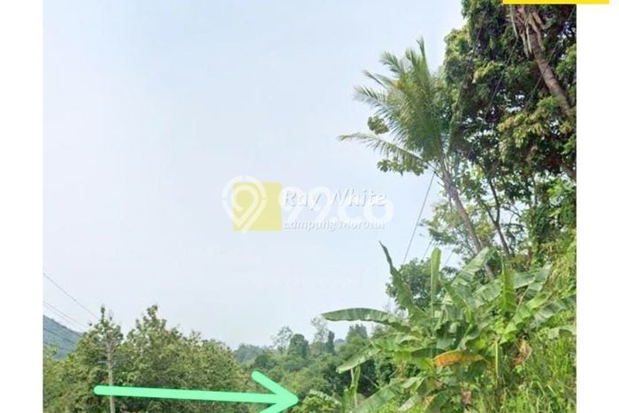 Lahan Kosong Dijual di Pesawaran dengan Area 7745m2 Lahan Kosong Dijual di Pesawaran dengan Area 7745m2