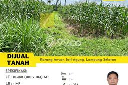 Kavling Tanah Dijual di Jati Agung Lampung Selatan Spesifikasi 10480m2 Kavling Tanah Dijual di Jati Agung Lampung Selatan Spesifikasi 10480m2