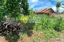 Tanah Strategis Dijual di Jati Agung Lampung Selatan 1311m2 Tanah Strategis Dijual di Jati Agung Lampung Selatan 1311m2