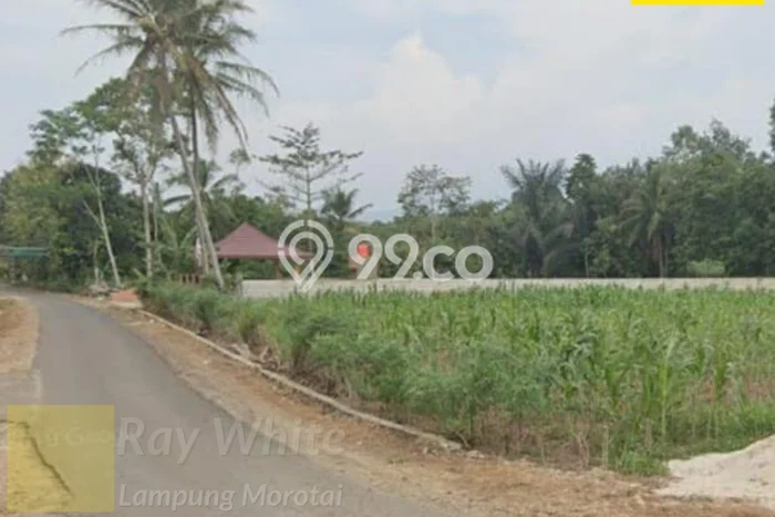 Tanah Dijual di Pesawaran Seluas 3496m2 Strategis Tanah Dijual di Pesawaran Seluas 3496m2 Strategis