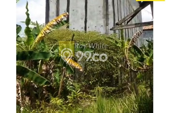 Lahan Strategis di Palas Dijual dengan Luas 1299m2 Lahan Strategis di Palas Dijual dengan Luas 1299m2