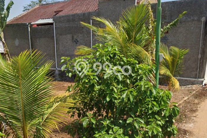 Tanah untuk Dijual Lokasi Natar, Lampung Selatan Luas 1200m2 SHM Tanah untuk Dijual Lokasi Natar, Lampung Selatan Luas 1200m2 SHM