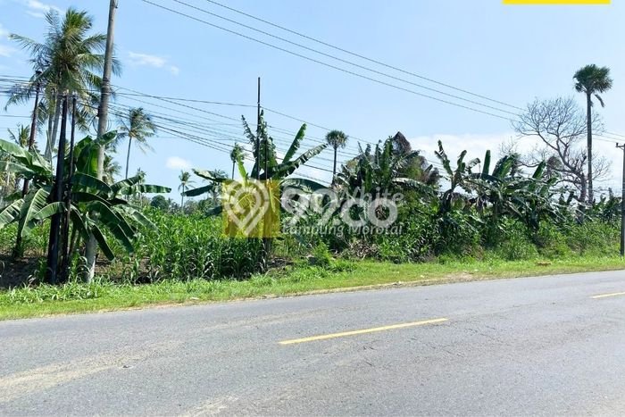 Jarang Ada! Tanah di Bakauheni Punya Luas 7960m2 SHM Jarang Ada! Tanah di Bakauheni Punya Luas 7960m2 SHM