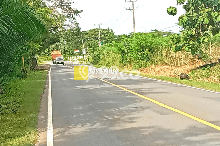 Tanah di Menggala, Tulang Bawang Luas 45870m2 Dijual Segera Tanah di Menggala, Tulang Bawang Luas 45870m2 Dijual Segera