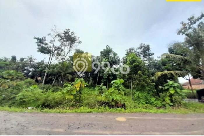 Tanah di Jati Agung, Lampung Selatan Luas 1767m2 Dijual Segera Tanah di Jati Agung, Lampung Selatan Luas 1767m2 Dijual Segera