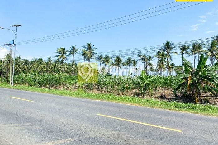 Jarang Ada! Tanah di Bakauheni Punya Luas 7960m2 SHM Jarang Ada! Tanah di Bakauheni Punya Luas 7960m2 SHM