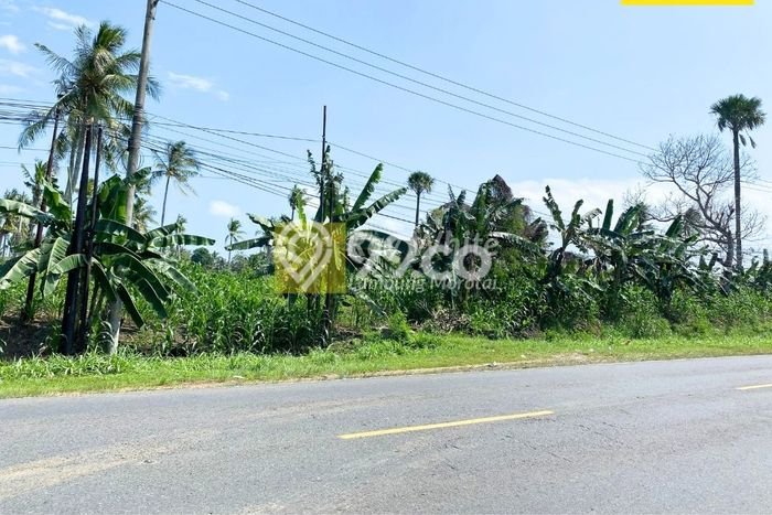 Jarang Ada! Tanah di Bakauheni Punya Luas 7960m2 SHM Jarang Ada! Tanah di Bakauheni Punya Luas 7960m2 SHM