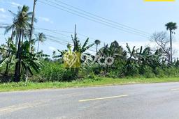 Jarang Ada! Tanah di Bakauheni Punya Luas 7960m2 SHM Jarang Ada! Tanah di Bakauheni Punya Luas 7960m2 SHM
