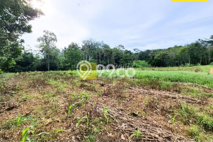Kavling Tanah Dijual di Tanjung Bintang Lampung Selatan Spesifikasi 2765m2 Kavling Tanah Dijual di Tanjung Bintang Lampung Selatan Spesifikasi 2765m2