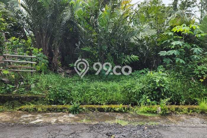 Jual Tanah Lokasi Prima di Turi, Luas 1192m², Dekat Turi, Sleman, Sleman Jual Tanah Lokasi Prima di Turi, Luas 1192m², Dekat Turi, Sleman, Sleman