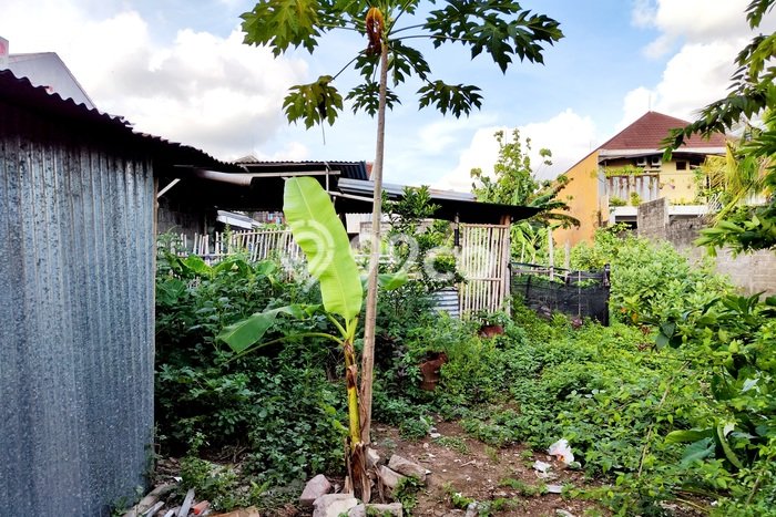 Jarang Ada! Tanah di Tegalrejo Punya Luas 739m2 SHM Jarang Ada! Tanah di Tegalrejo Punya Luas 739m2 SHM