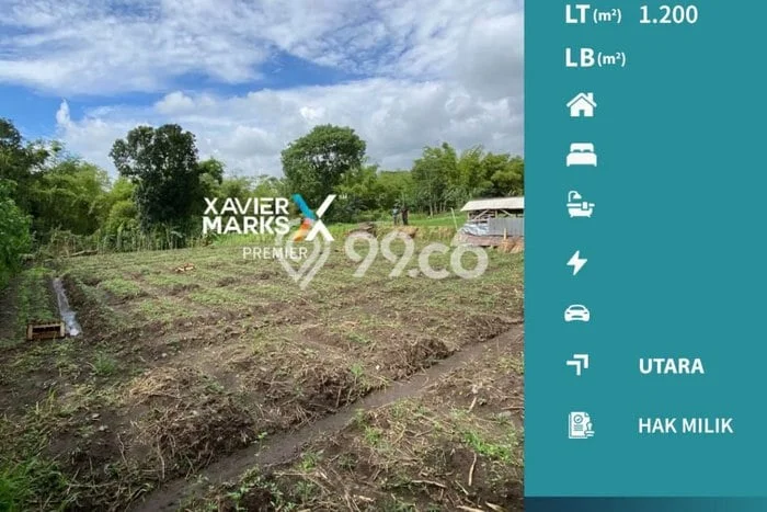 Tanah untuk Dijual Lokasi Dau, Malang Luas 1200m2 SHM Tanah untuk Dijual Lokasi Dau, Malang Luas 1200m2 SHM
