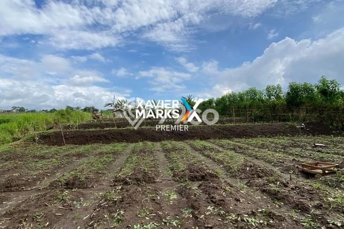 Tanah untuk Dijual Lokasi Dau, Malang Luas 1200m2 SHM Tanah untuk Dijual Lokasi Dau, Malang Luas 1200m2 SHM