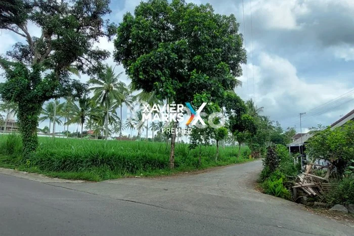Dijual Tanah di Dampit Malang Luas 58000m2 SHM Dijual Tanah di Dampit Malang Luas 58000m2 SHM