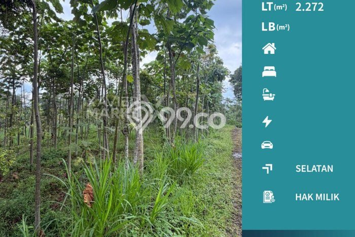 Lahan Investasi Lokasi Wagir Malang SHM Lahan Investasi Lokasi Wagir Malang SHM