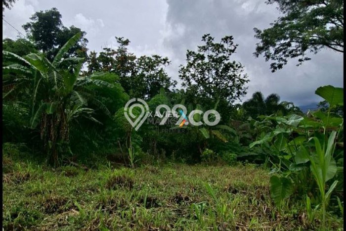 Lahan Investasi Lokasi Junrejo Batu SHM Lahan Investasi Lokasi Junrejo Batu SHM