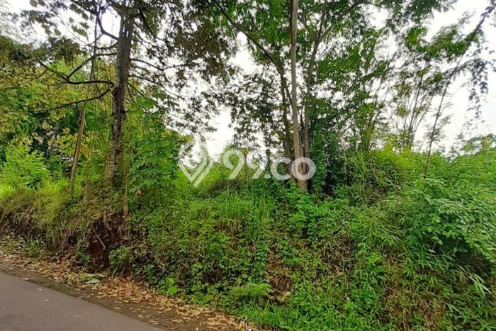 Lahan Strategis di Dau Dijual dengan Luas 1640m2 Lahan Strategis di Dau Dijual dengan Luas 1640m2