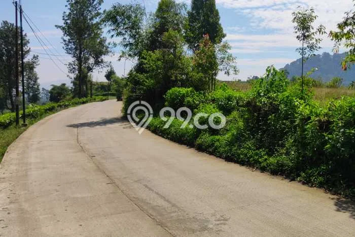 Lahan Kosong Dijual di Ciwidey, Bandung, Luas 4575m2 Area Strategis Lahan Kosong Dijual di Ciwidey, Bandung, Luas 4575m2 Area Strategis