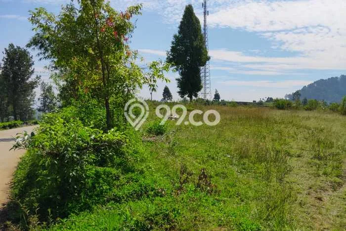 Lahan Kosong Dijual di Ciwidey, Bandung, Luas 4575m2 Area Strategis Lahan Kosong Dijual di Ciwidey, Bandung, Luas 4575m2 Area Strategis