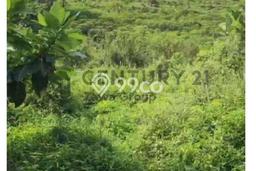 Dijual Tanah di Citeureup Bogor Luas 992800m2 - Dijual Tanah di Citeureup Bogor Luas 992800m2 -