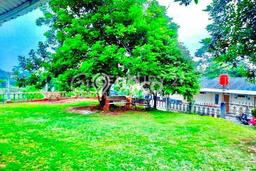Rumah Eksklusif Dijual LT 1544m2 di Ciputat, Tangerang Selatan Rumah Eksklusif Dijual LT 1544m2 di Ciputat, Tangerang Selatan