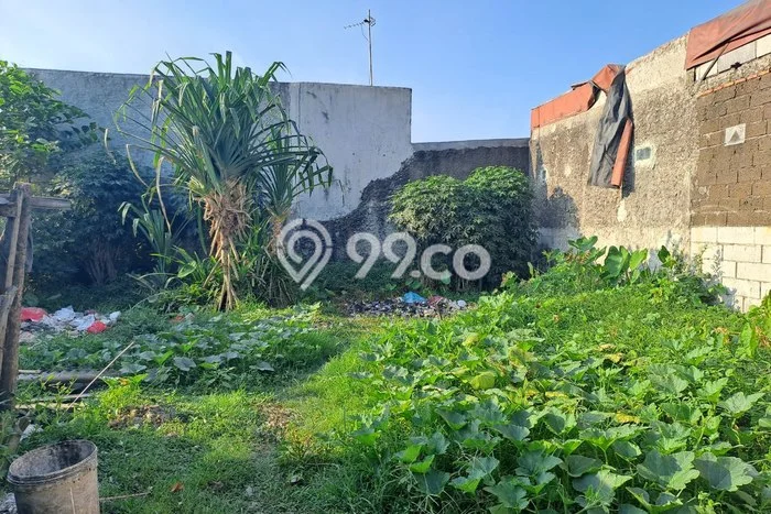 Tanah Kavling Siap Bangun Dekat Taman Alamanda Karang Satria Bekasi Tanah Kavling Siap Bangun Dekat Taman Alamanda Karang Satria Bekasi