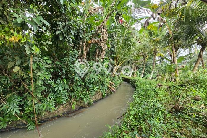 Tanah di Selemadeg, Tabanan Luas 1400m2 Dijual Segera Tanah di Selemadeg, Tabanan Luas 1400m2 Dijual Segera